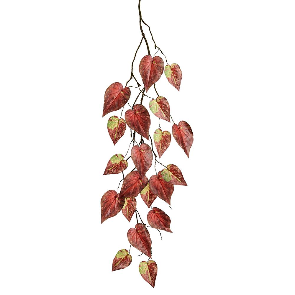 50in Heart-Leaf Philodendron Vine