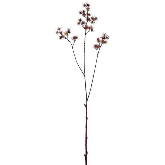 37in Cow Parsley Spray BROWN