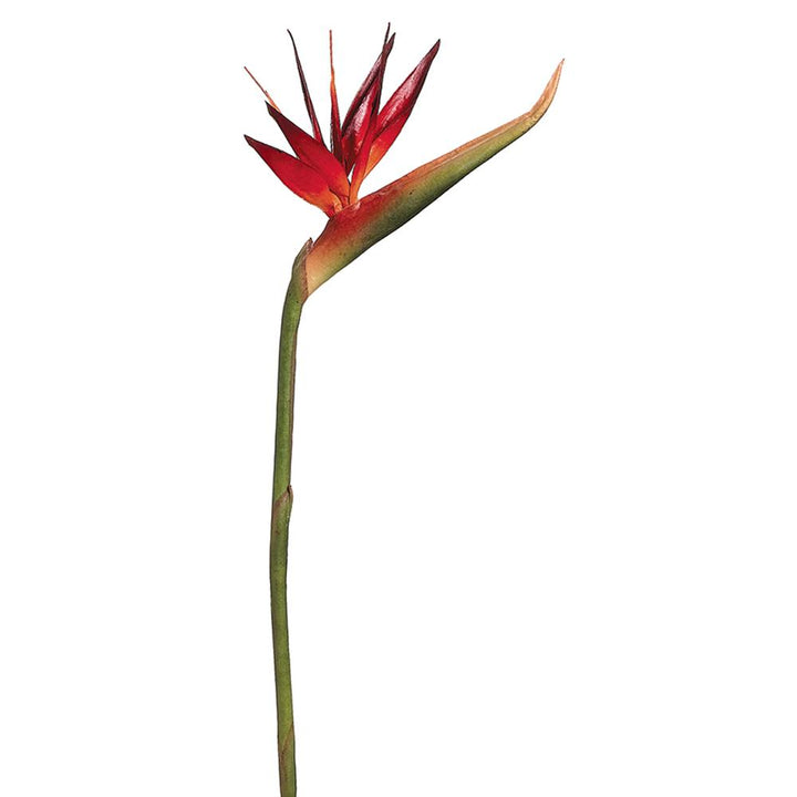 39in Bird of Paradise - Premium Floral for Wreaths and Home Decor