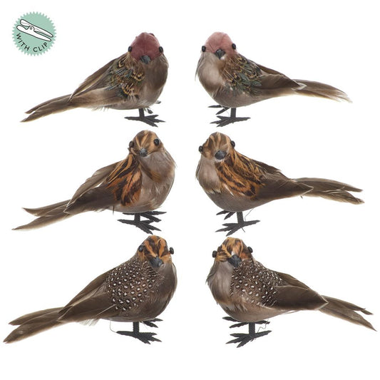 6pc Brown Birds - Premium Attachment for Wreaths, Arrangements and Home Decor Allstate