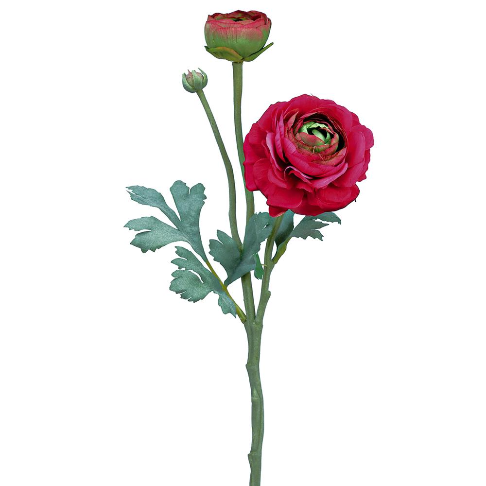 15in Hot Pink Ranunculus Bloom & Bud
