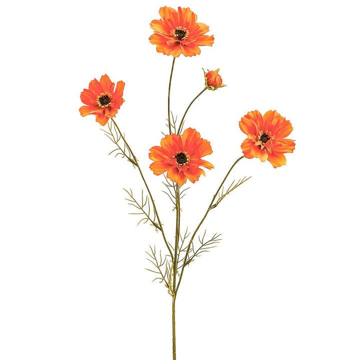 32in Cosmos Spray x5 ORANGE