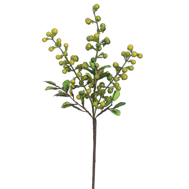 21in Lime Green Spring Berry