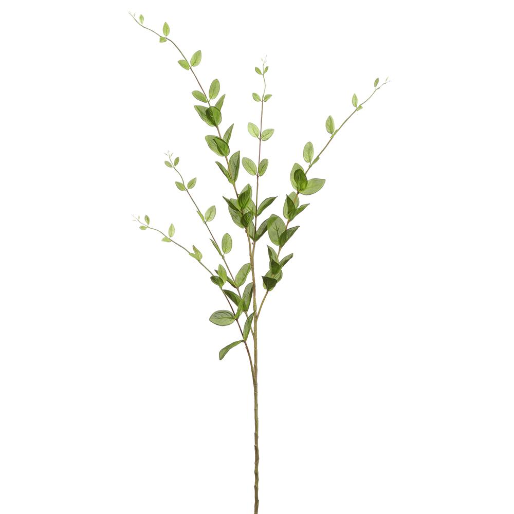 46in Light Green Lonicera Leaf x5