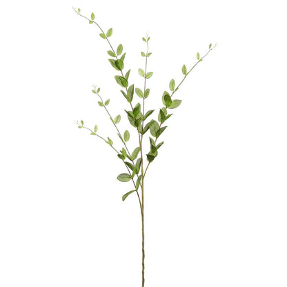 46in Light Green Lonicera Leaf x5
