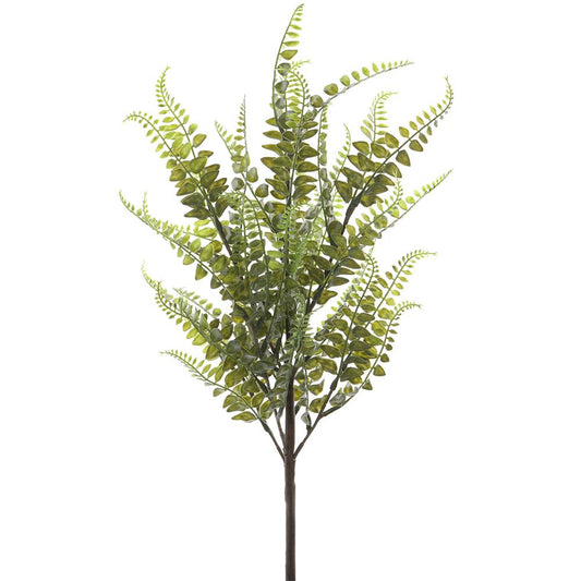20in Fern Spray
