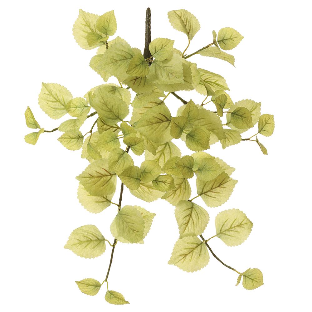 20in Hanging Perilla LIME Allstate