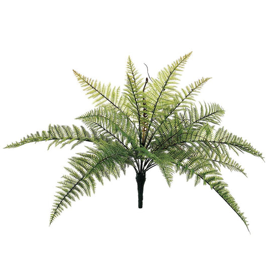 20in Mountain Fern Bush x18
