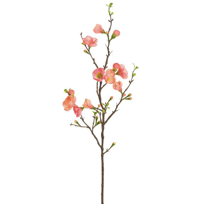 35in Quince Blossom Branch coral TT