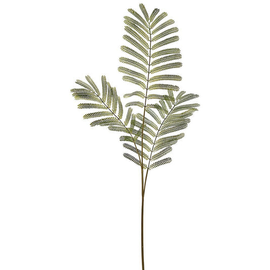 36in Delonix Regia Leaf Spray