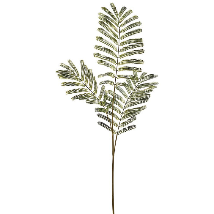 36in Delonix Regia Leaf Spray