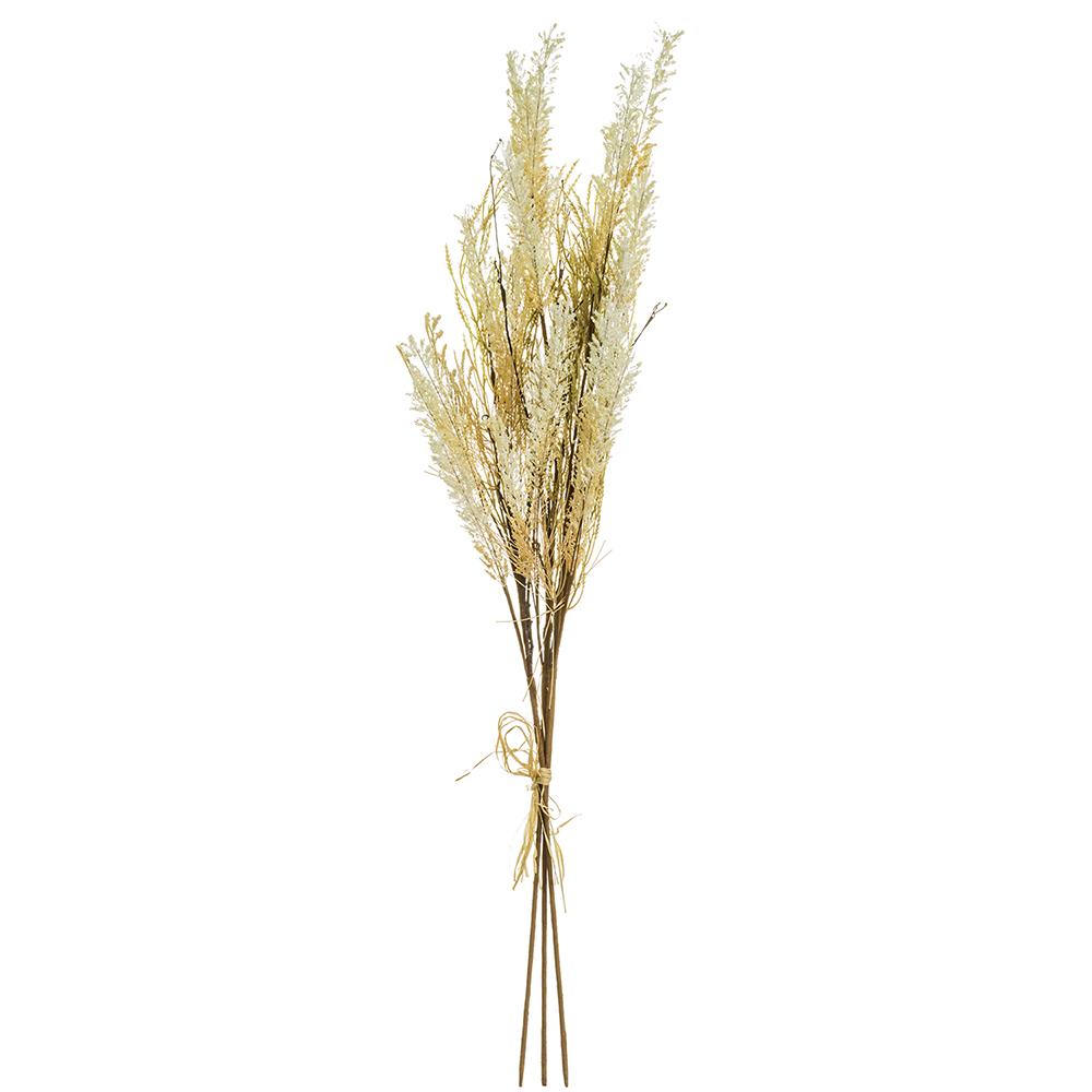 36in Rattail Grass Bundle x3 GR/BEIGE