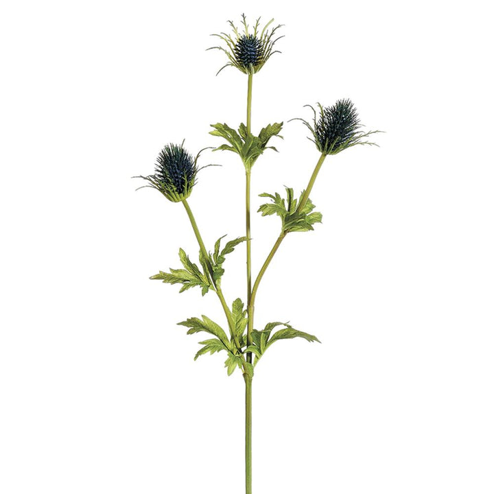 32in Natural Blue Thistle