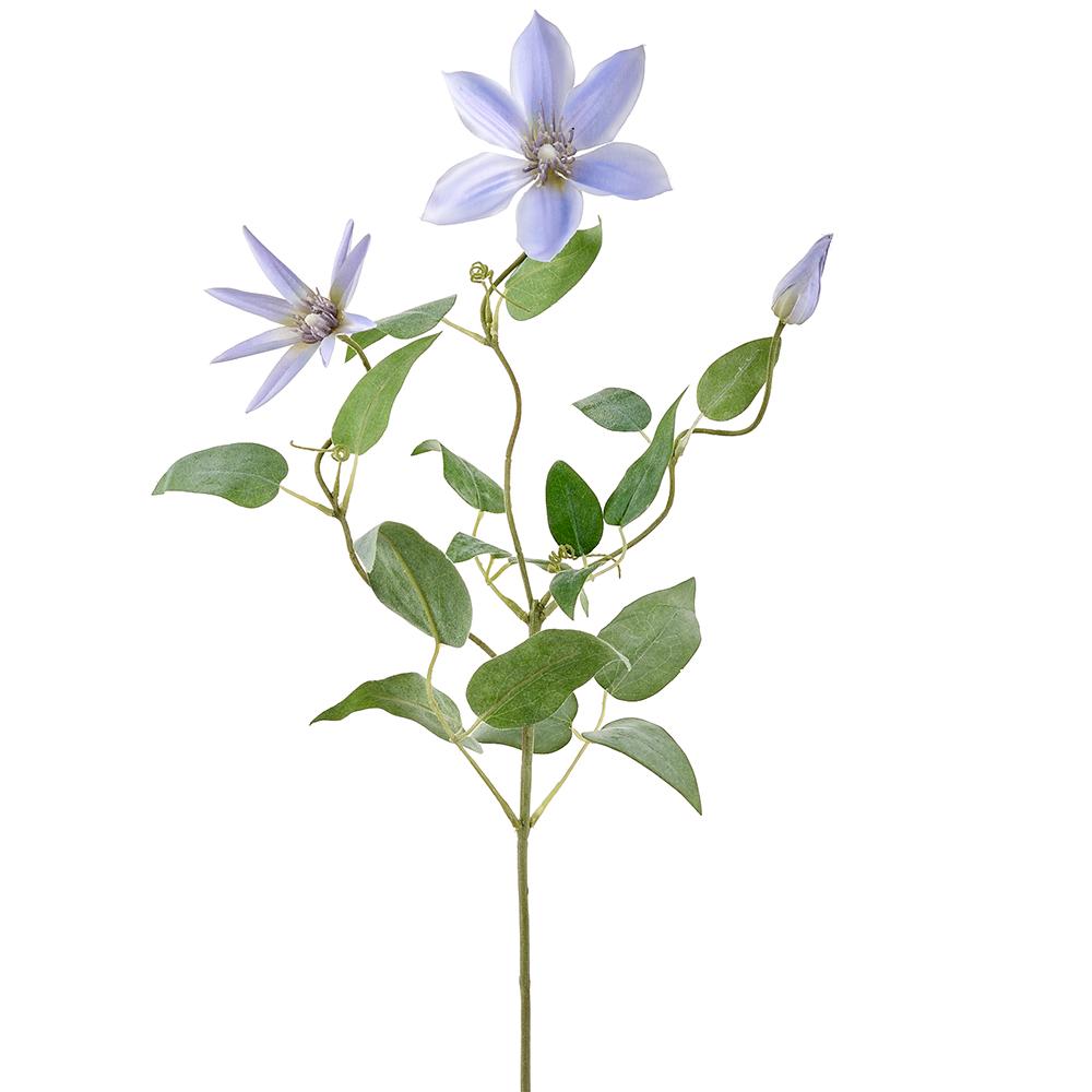 28in Purple Clematis Vine