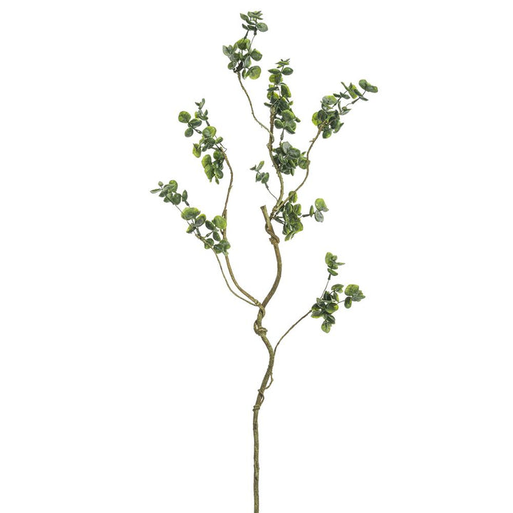 37in Mini Eucalyptus Vine