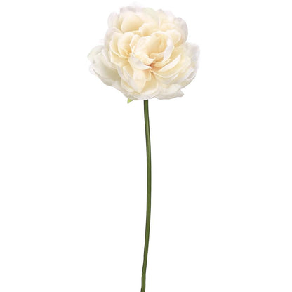 19in Cream Blush Peony Stem