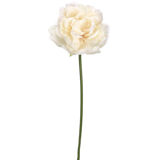 19in Cream Blush Peony Stem