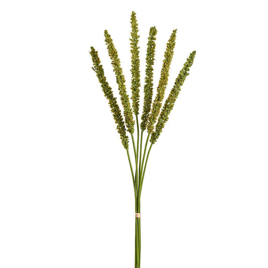 20in Foxtail Bundle x6 GREEN