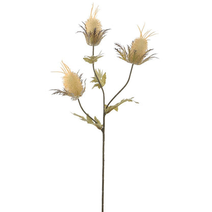 26in Beige Thistle