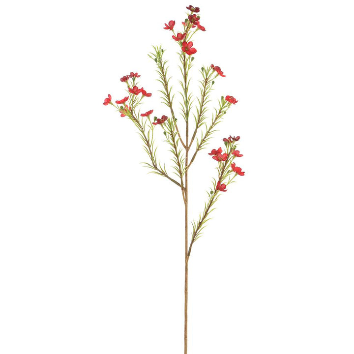 24in Waxflower RED