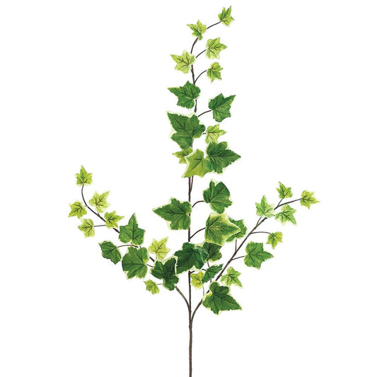 25in Variegated Ivy (39 leaves)