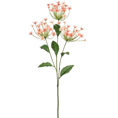 32in Peach/Coral Agapanthus African Lily