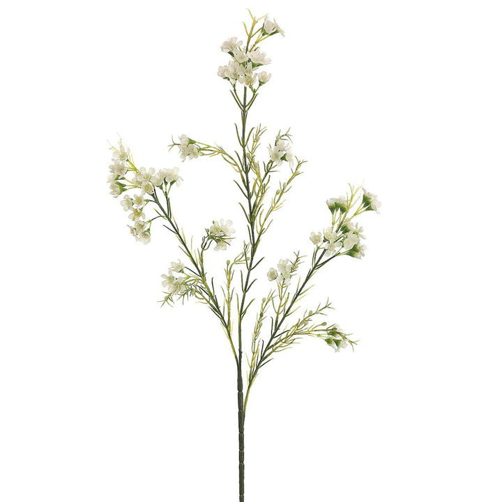 27in Cream White Waxflower x3