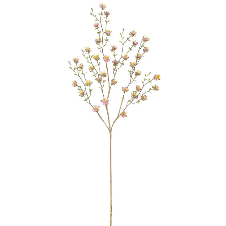 40in Lavender Plum Blossom