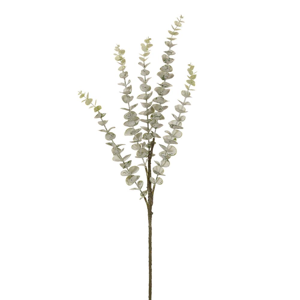 31in Green Grey Eucalyptus adb