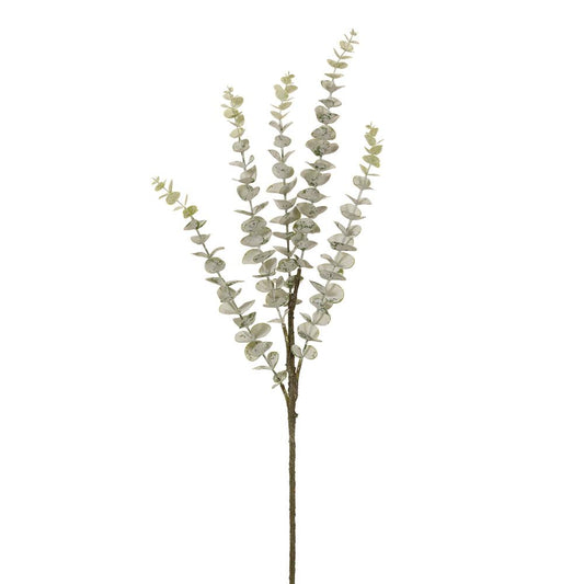 31in Green Grey Eucalyptus