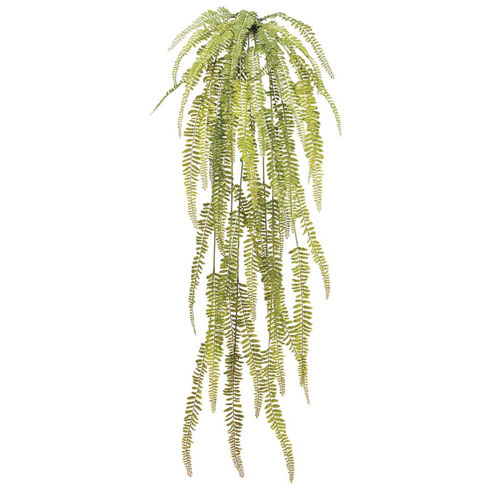 50in Soft Woodland Hanging Fern