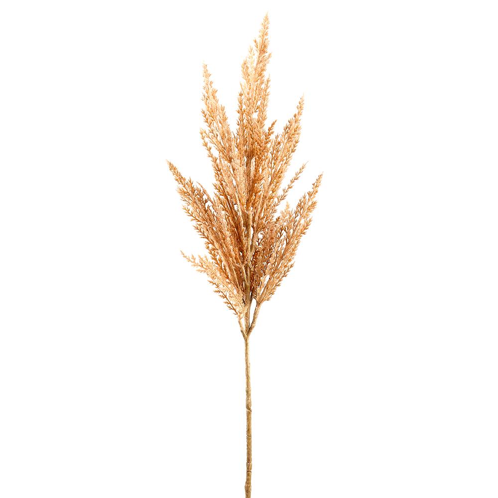36in Blush Pampas Grass Allstate