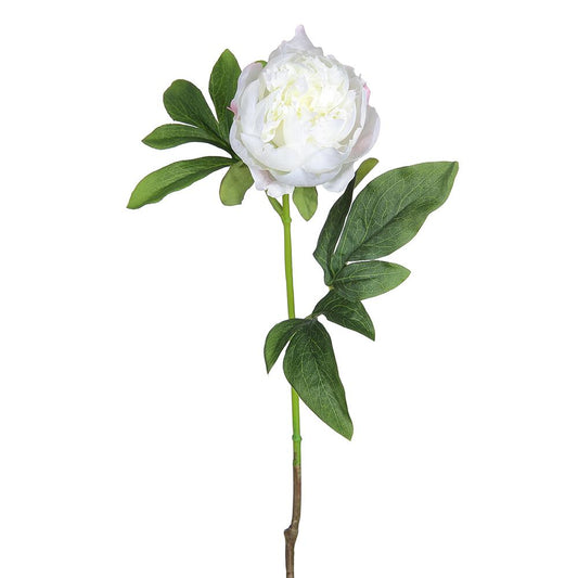 22in White Peony Blossom w/Leaves