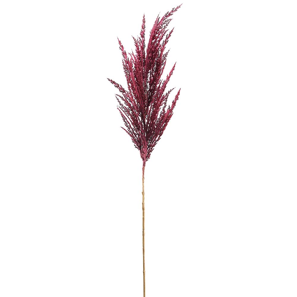 36in Burgundy Pampas Grass Allstate