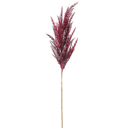 36in Burgundy Pampas Grass Allstate
