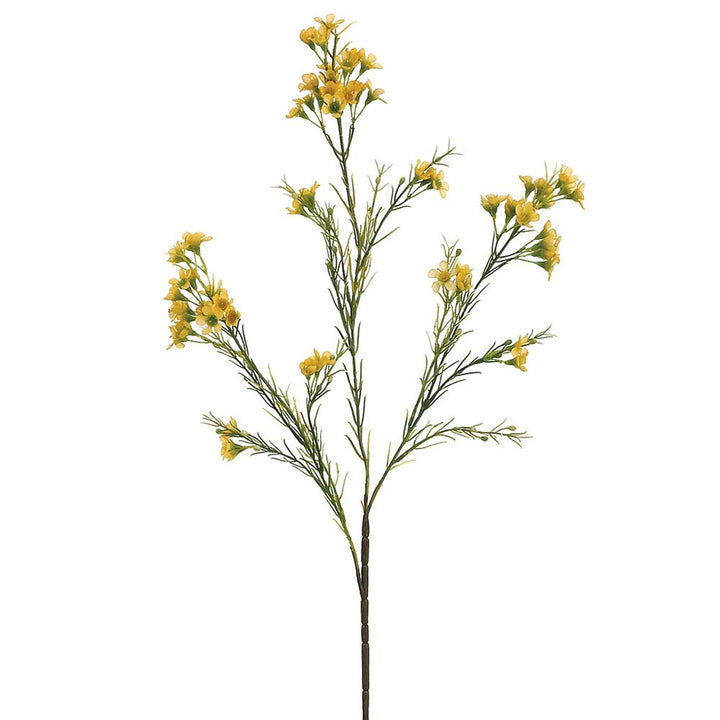27in Yellow Waxflower x3