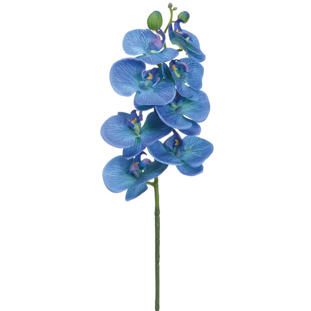 28in Blue/Purple Phalaenopsis Orchid
