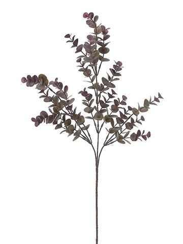 27in Grey/Purple Eucalyptus x3