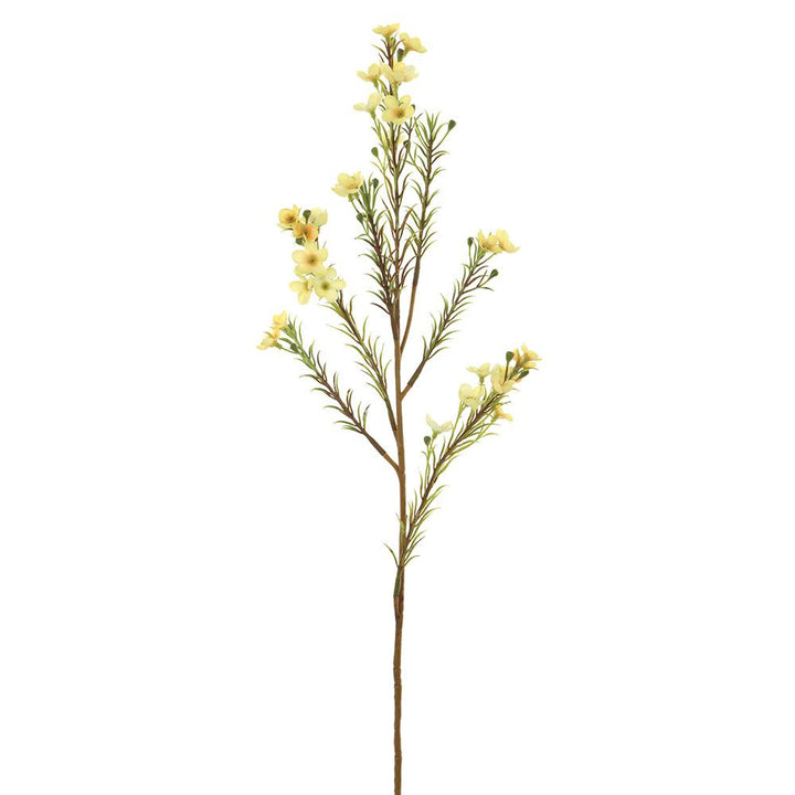 24in Waxflower YELLOW