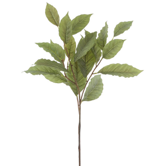 26in Coffee Bean Leaf Spray Allstate