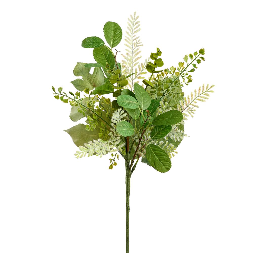 27in Fern/Fig Carica GRTT