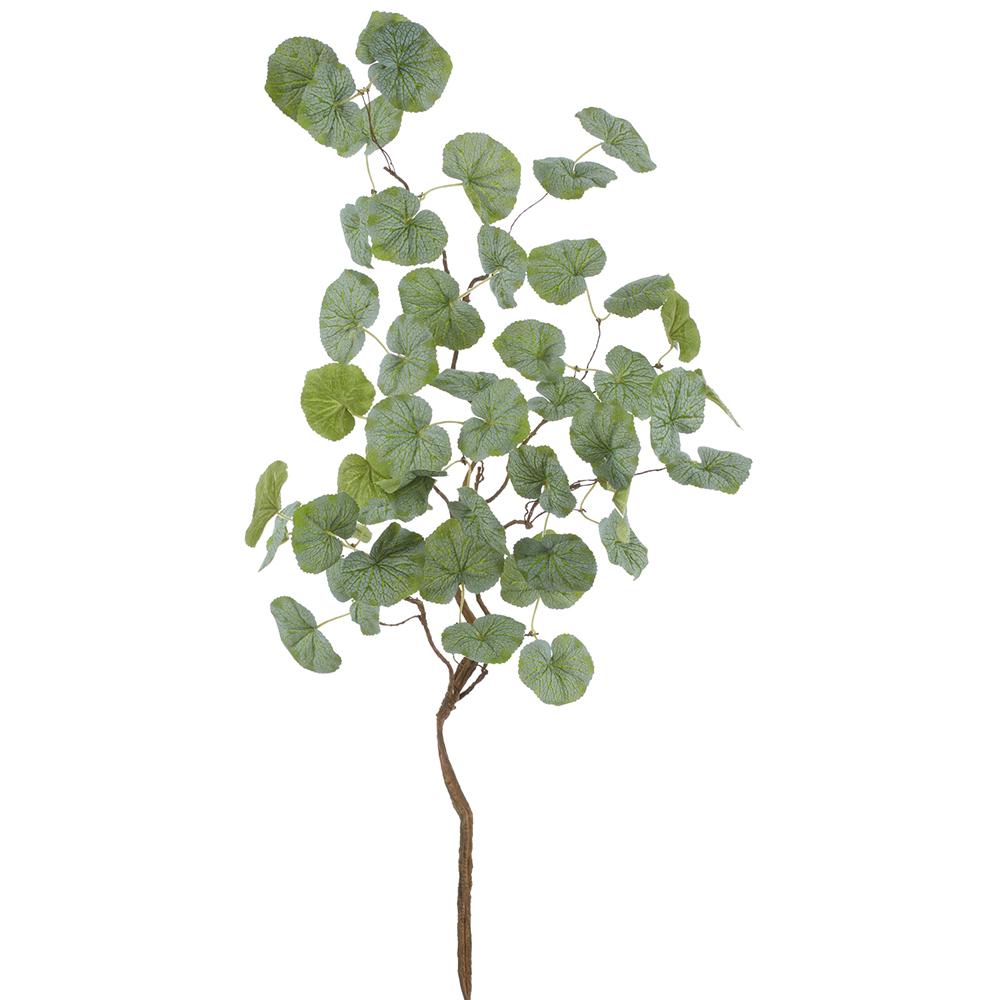 38in Galax Leaf Vine