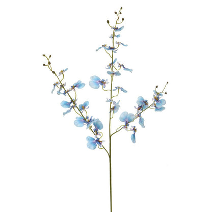 38in Oncidium Orchid blue