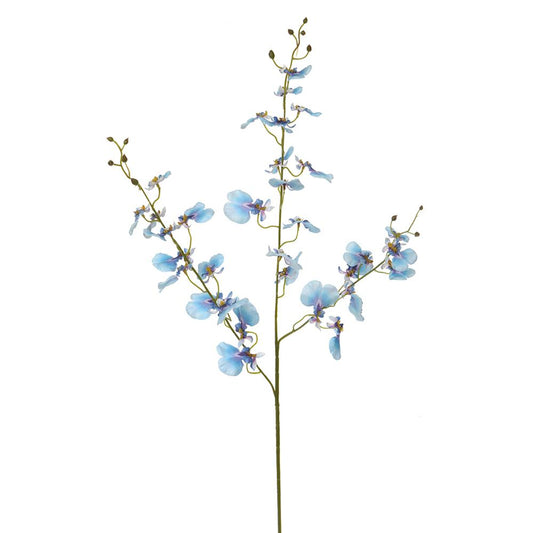 38in Oncidium Orchid blue