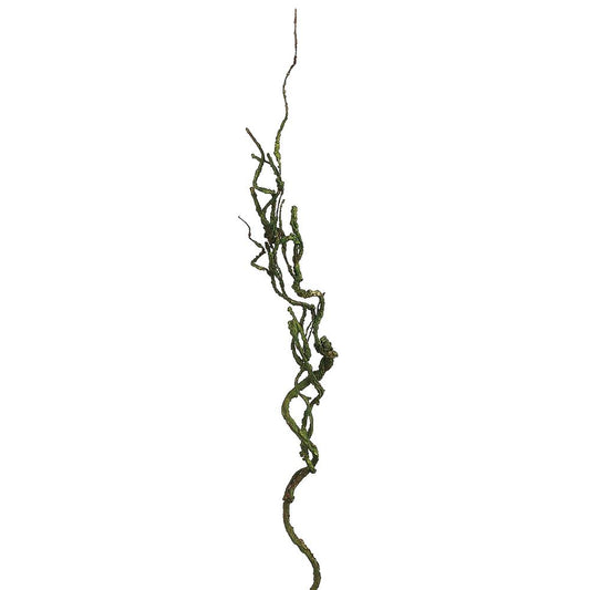 26in Green Curly Twig Branch