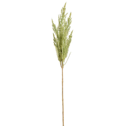32in Green Pampas Grass adb
