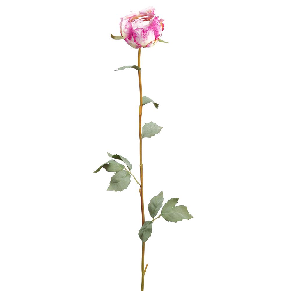 32in Boisenberry Peony Bud Spray