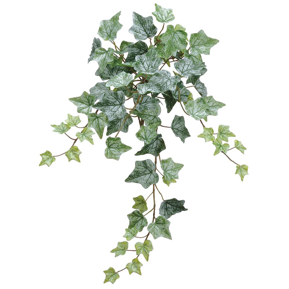 22in Frosted Green Ivy Bush
