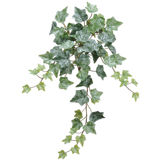22in Frosted Green Ivy Bush