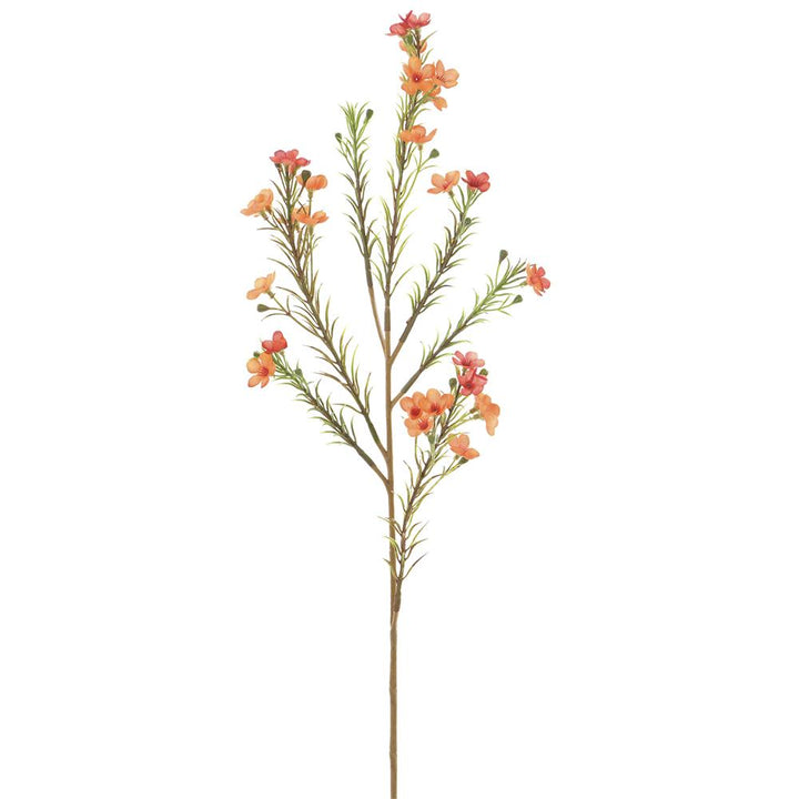 24in Waxflower ORANGE